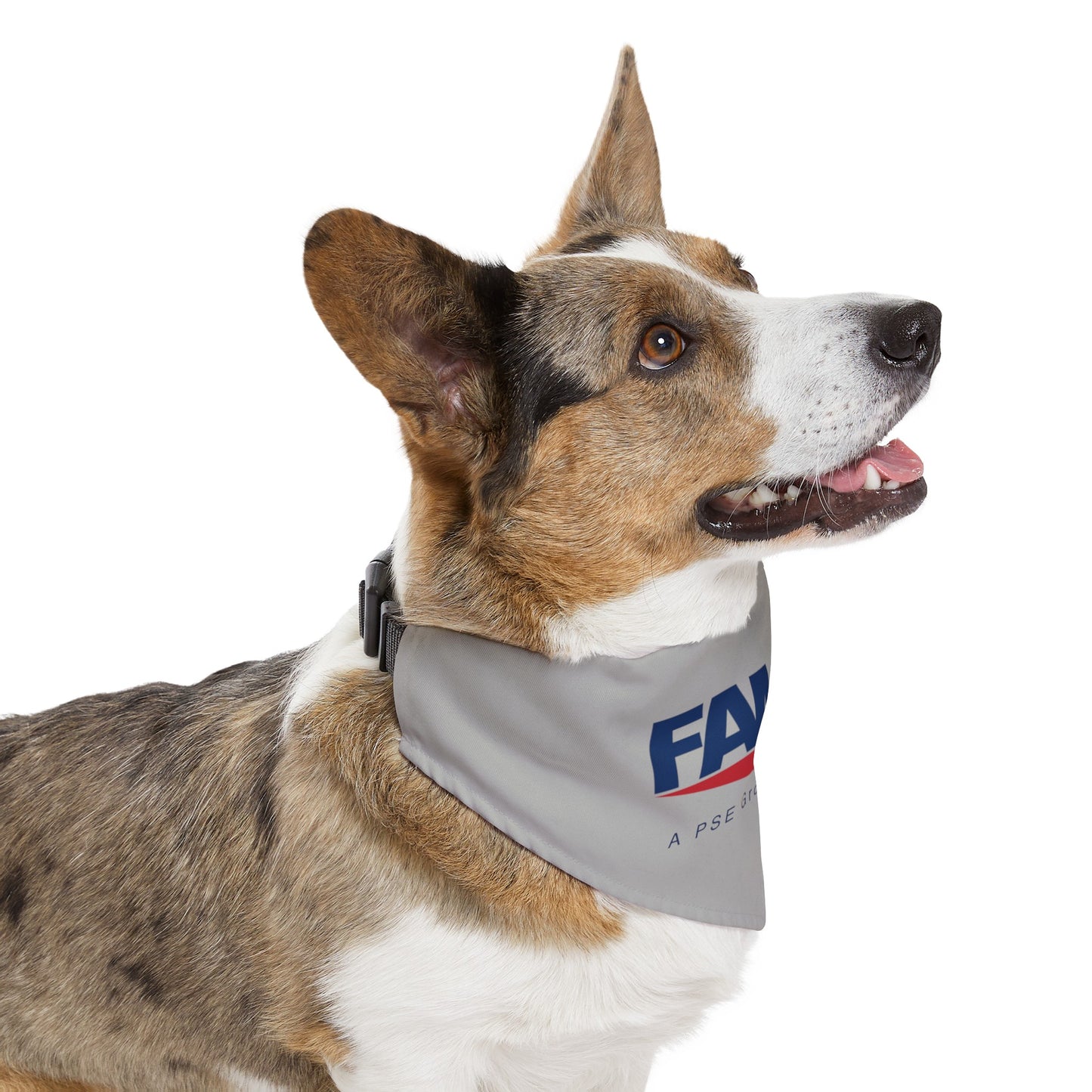 Pet Bandana Collar