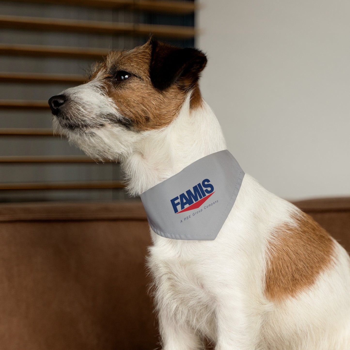 Pet Bandana Collar