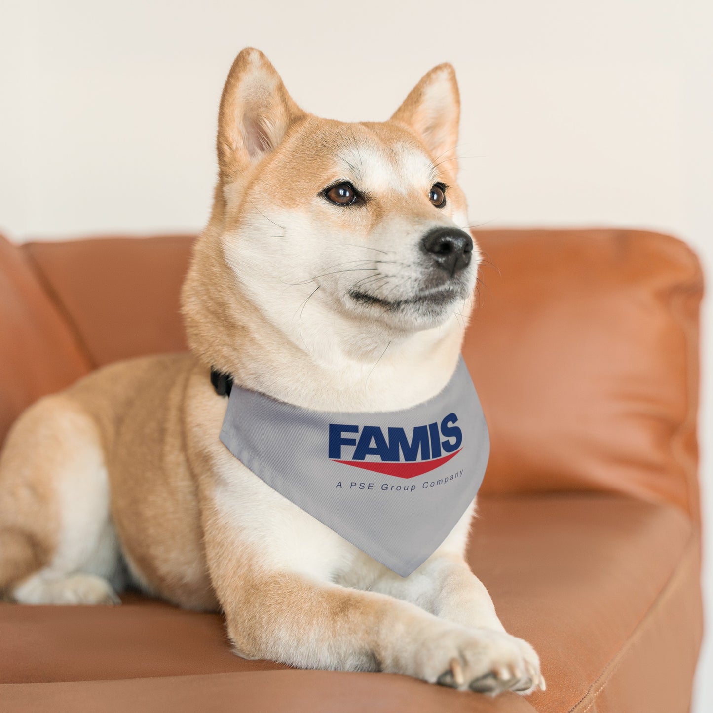 Pet Bandana Collar